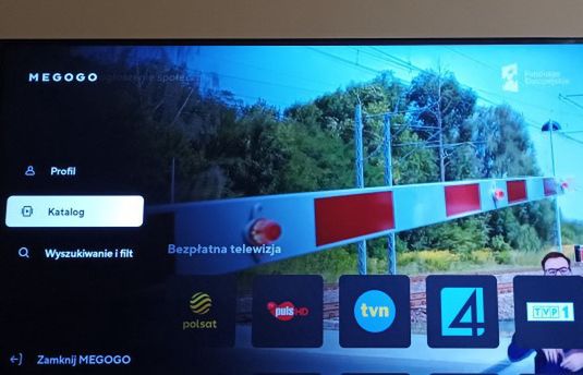 Prawie 20 polskich kanałów za darmo w streamingu. W ofercie m.in. stacja sportowa