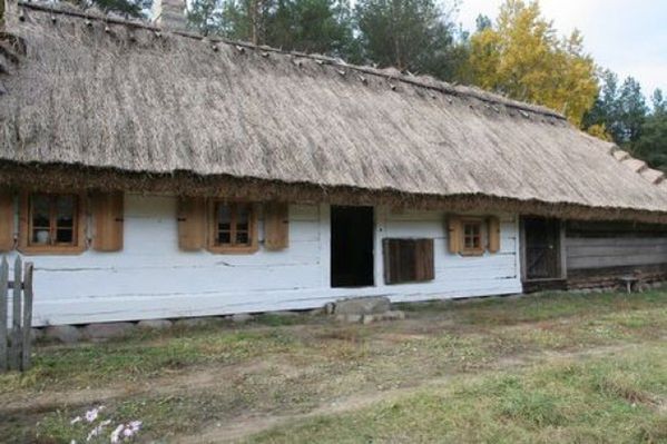 Obraz