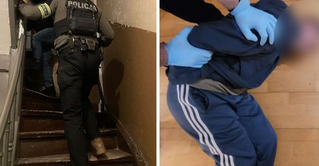 Akcja małopolskiej policji. Gruzińska mafia rozbita