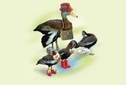 Nagrody Darwina 3. Strategia przetrwania