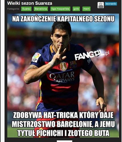 Fot. fangol.pl