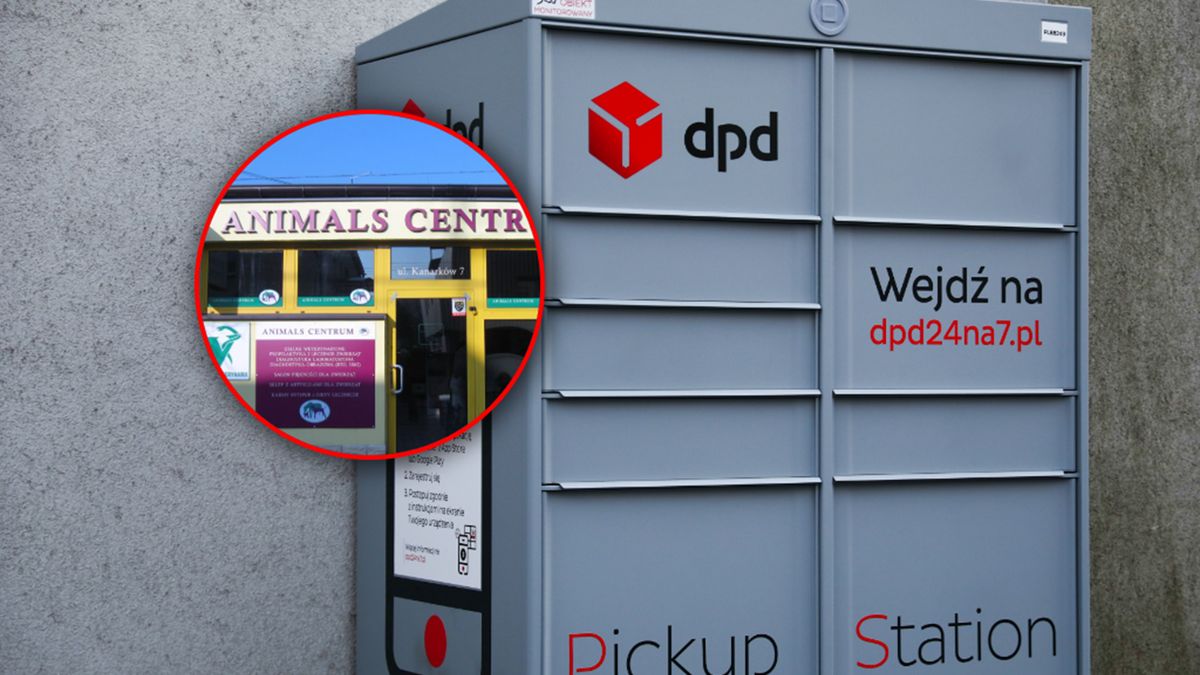 Kota znaleziono w automacie paczkowym obok weterynarii.
