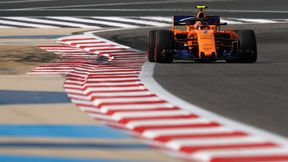 Niepewny los Stoffela Vandoorne'a. O przyszłości Belga zadecyduje menedżer Roberta Kubicy