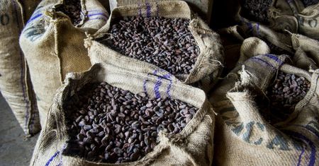 Producenci czekolady podnoszą ceny. Tak źle nie było od 45 lat