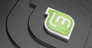 Linux Mint 20 wydany. Koniec 32-bitowej binarki