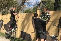Wrocław. Zoo musi poczekać