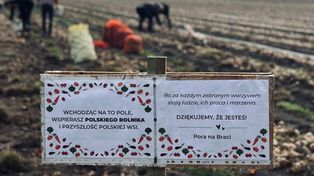 Rolnicy postawili tabliczkę na polu. Czekali na to cały rok