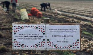 Rolnicy postawili tabliczkę na polu. Czekali na to cały rok