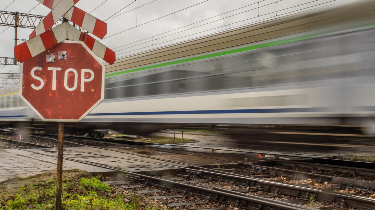 Train inside depot
Warsaw, Poland - October 20, 2017: Moving passenger trains at the railway depot in Olszynka Grochowska and red STOP sign with Saint Andrew's Cross
Mirek Nowaczyk
Poland, Polish, STOP sign, Warsaw, carriage, course, europe, european, fajne, grade crossing, grail, industrial, industry, intersection, level crossing, line, move, moving, passenger, patch, path, rail, railroad tracks, railway, remedy, repair, road, road crossin, road sign, road through, rolling-stock, safety, saint andrew's cross, saltire, saltire sign, shunt, sidetrack, siding, sign, steering, stop, stop icon, switch, technological, track, traffic sign, train, train crossing, train stop sign, trains, transport, transportation, underground, vehicle, wagons, warning, way, carriage, poland, polish, stop sign, warsaw, course, europe, european, fajne, grade crossing, grail, industrial, industry, intersection, level crossing, line, move, moving, passenger, patch, path, rail, railroad tracks, railway, remedy, repair, road, road crossin, road sign, road through, rolling-stock, safety, saint andrew's cross, saltire, saltire sign, shunt, sidetrack, siding, sign, steering, stop, stop icon, switch, technological, track, traffic sign, train, train crossing, train stop sign, trains