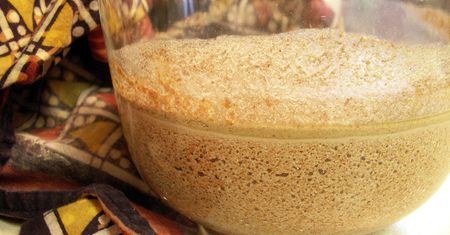 Gotowany teff (miłka abisyńska)
