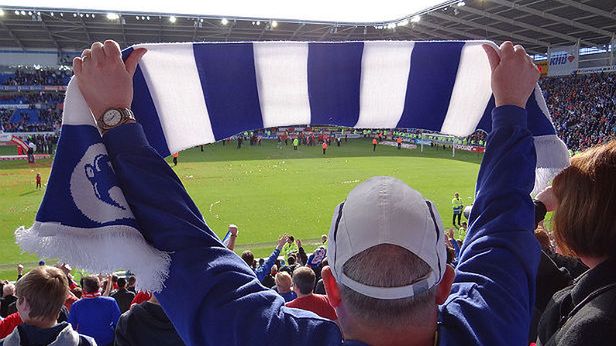 Skaner: sport w Internecie, najlepsze reklamy plażowe, niezwykła pamięć psów 1