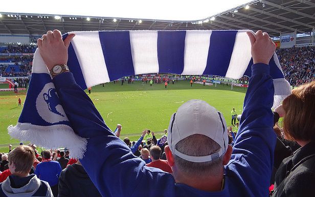 Skaner: sport w Internecie, najlepsze reklamy plażowe, niezwykła pamięć psów