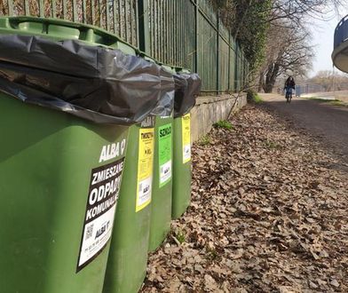 Основные правила и принципы сортировки мусора в Варшаве
