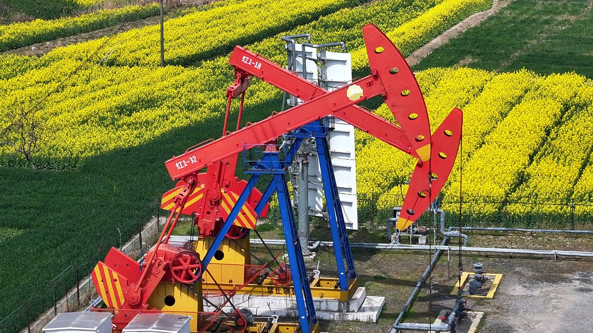 HAIAN, CHINA - MARCH 24, 2025 - A pumping unit and a drilling derrick are seen in the management area of the Subei Oil Extraction Plant amid rapeseed flowers in full bloom in Haian, Jiangsu province, China on March 24, 2025. (Photo credit should read CFOTO/Future Publishing via Getty Images)