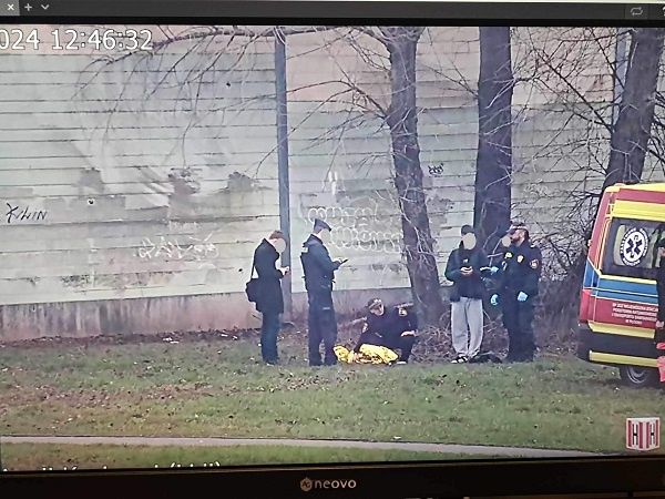 Dzień Wagarowicza 2024 rok
