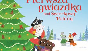 Pierwsza gwiazdka nad Świerkową Polaną