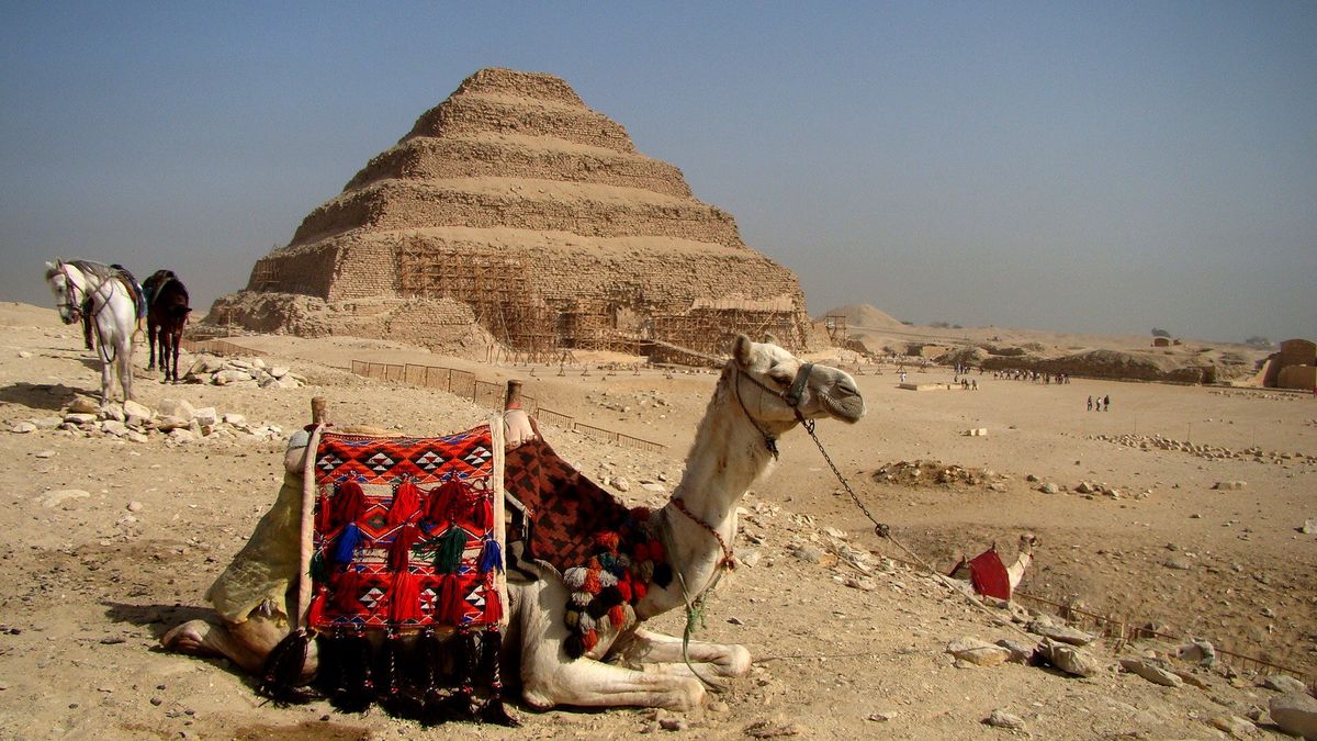 Egipt otwiera granice i wpuszcza turystów. Na razie do kilku ośrodków
