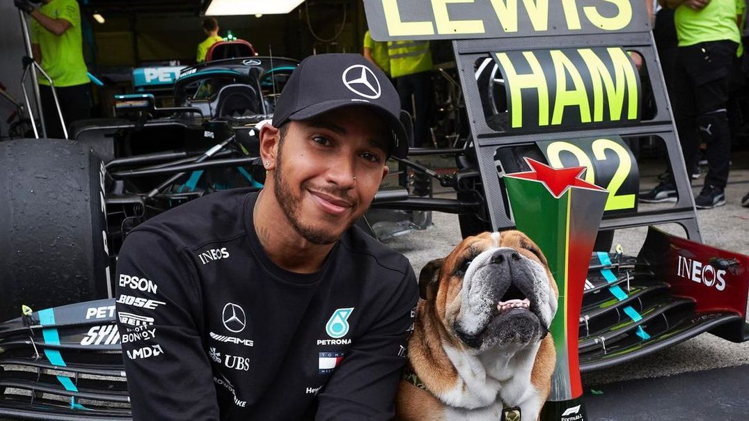 Lewis Hamilton i jego pies Roscoe