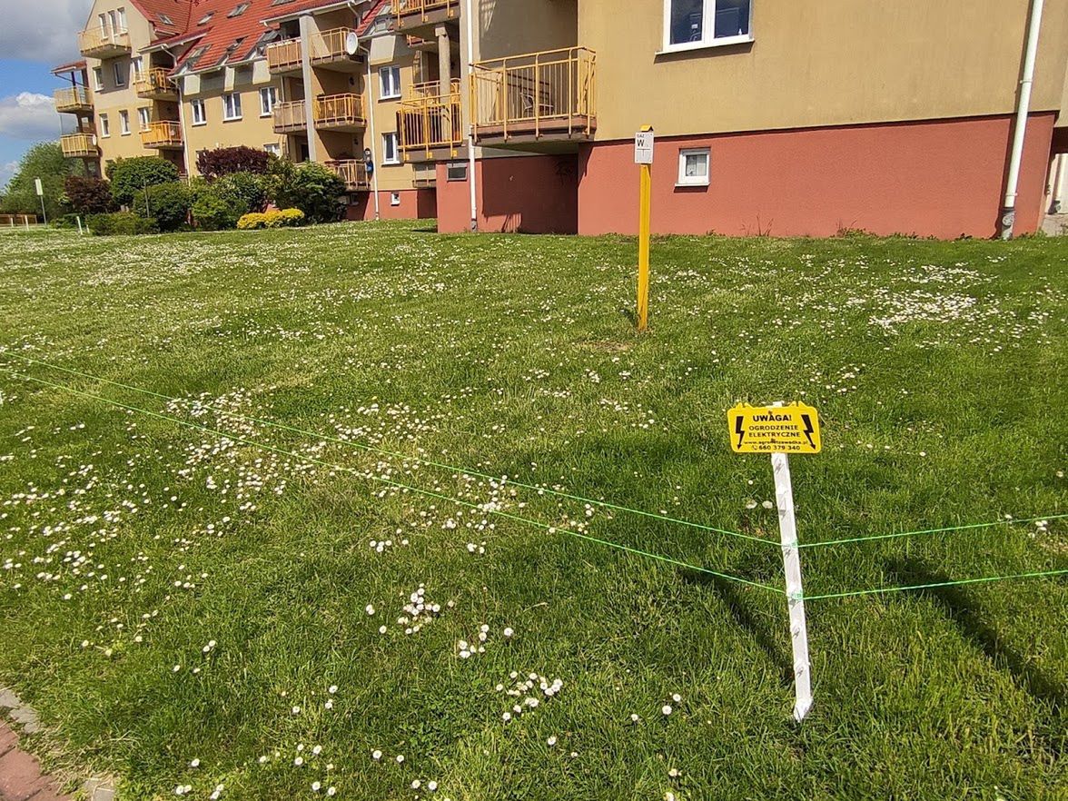 Pastuch elektryczny okala trawnik i plac zabaw na gdańskim osiedlu Łostowice