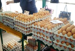 Drastyczne podwyżki cen jaj. Hodowcy ostrzegają, co się stanie już jesienią