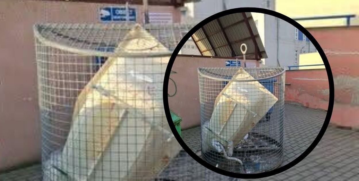 Wrocław: Upchnął wannę w koszu na butelki. Saniko: "To nie tylko brak kultury, to..."