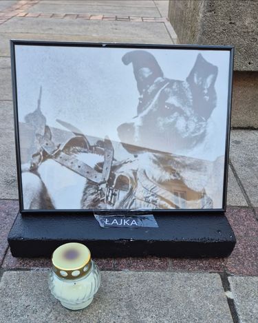 Nie dla torturowania zwierząt w imię nauki!
