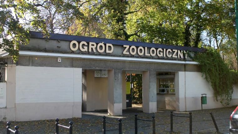 zdjęcie