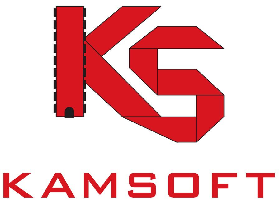 Specjalista ds. teleinformatycznych — podsumowanie kilkuletniej współpracy z Kamsoft S.A.