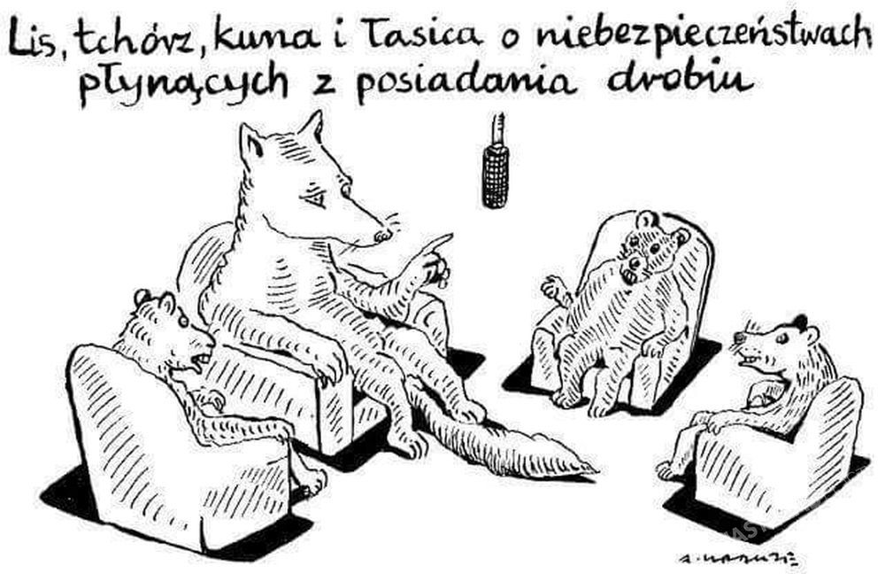 Grafika z profilu Pawła Kukiza 
Fot. Facebook