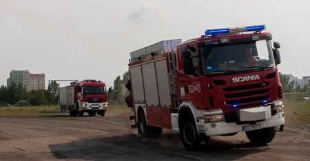 Pożar budynku. Spłonęło pięć zwierząt