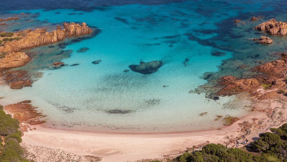 Zobaczenie różowej plaży to marzenie wielu turystów 