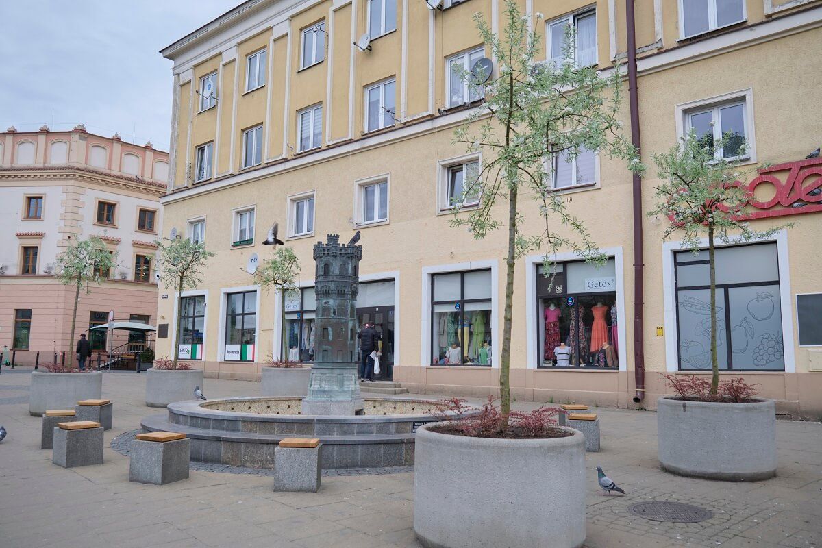 Grusze na placu Wolności