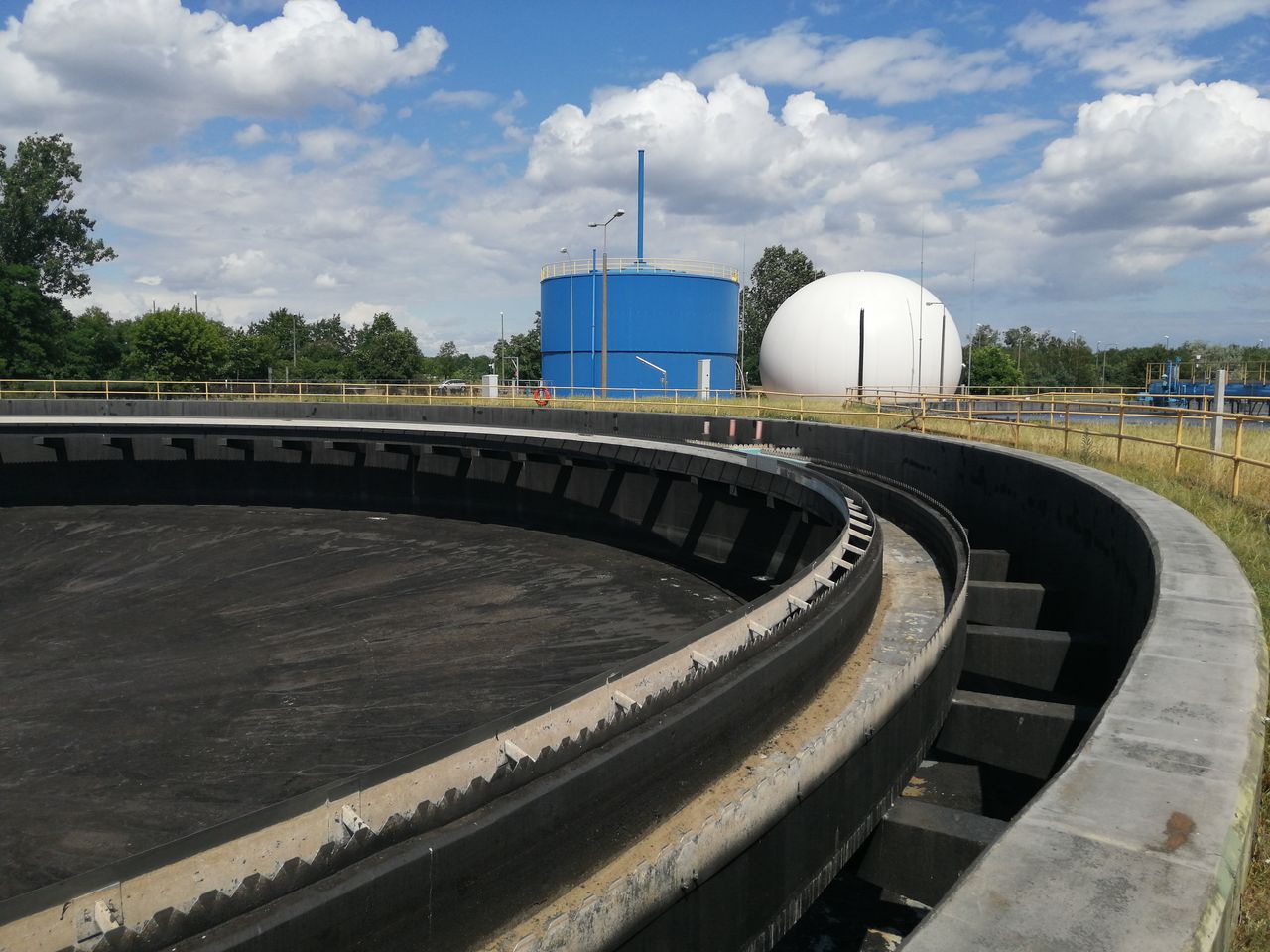 Niechciane sąsiedztwo w kociewskiej wsi. Sprzeciw mieszkańców