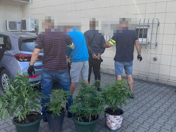 Narkotykowa transakcja na parkingu. Zatrzymali dilera i jego klienta
