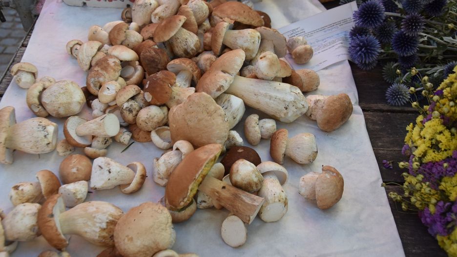 Grzyby na targowisku w Grudziądzu znaleźliśmy na kilku stoiskach. Zanotowaliśmy ich ceny