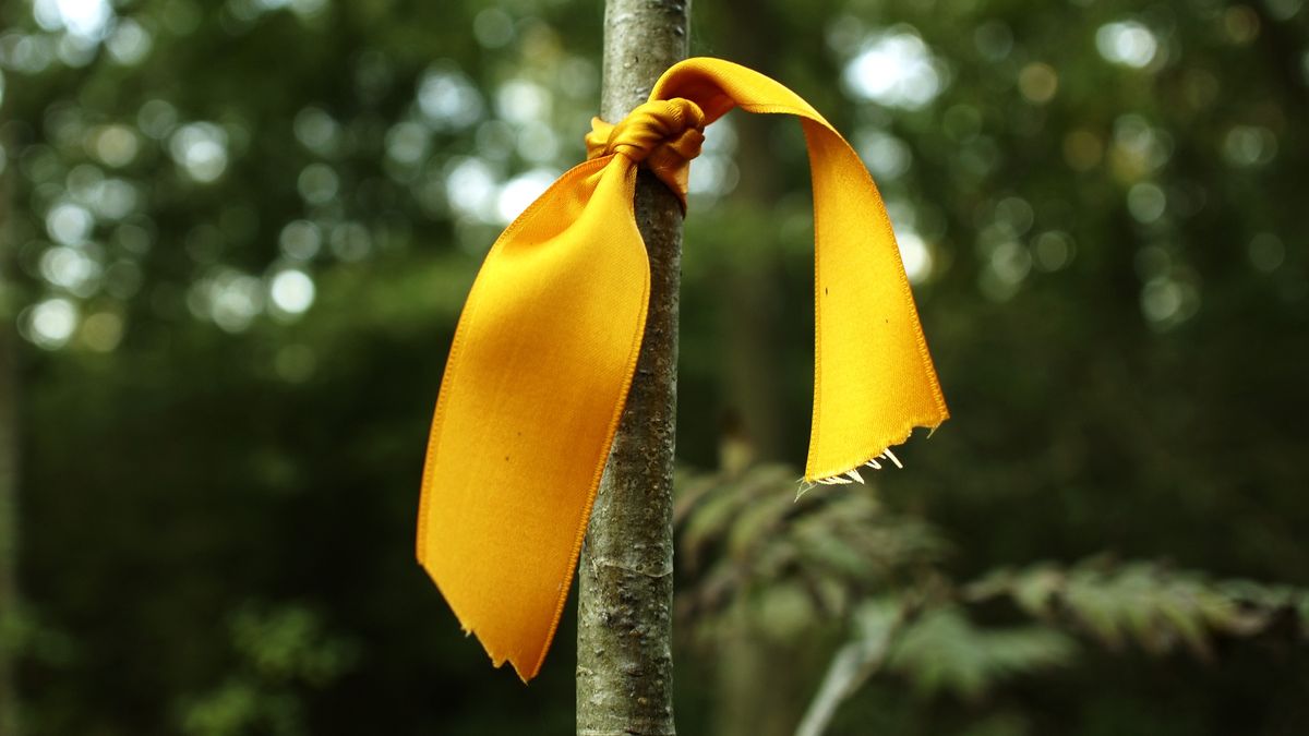 Zawiąż w ogrodzie żółtą wstążkę. To bardzo przydatny trik 