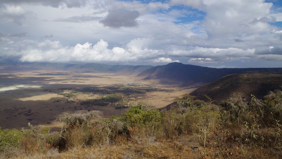 Krajobraz w parku Ngorongoro