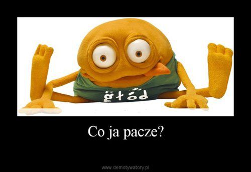 Cojapaczaizm podbija świat 2