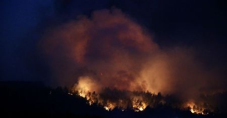 Pożary lasów w Turcji. Władze ścigają podejrzanych