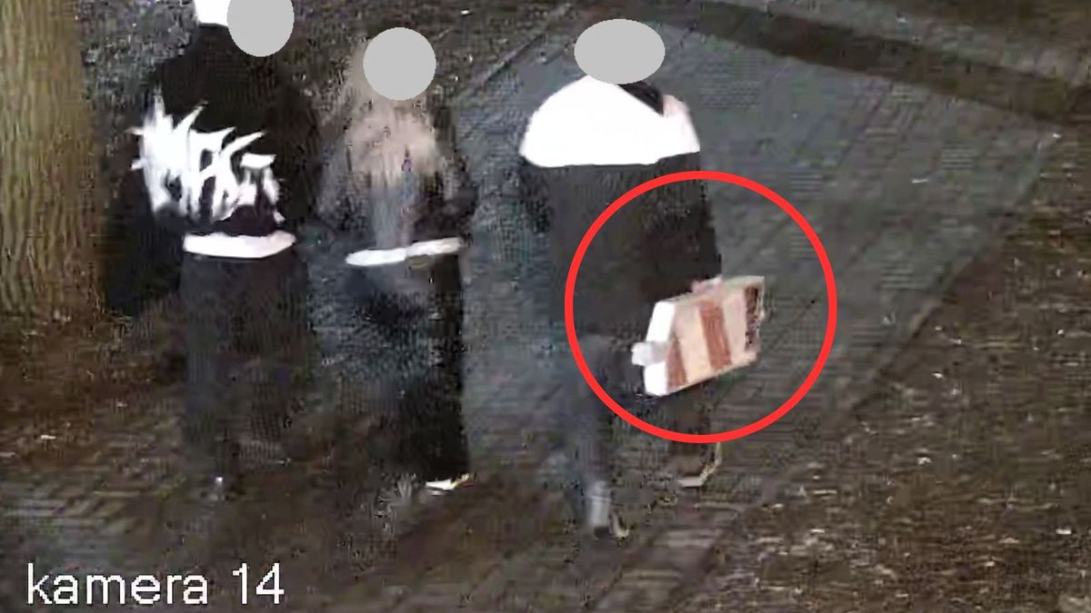 Nagranie Straży Miejskiej w Żyrardowie
