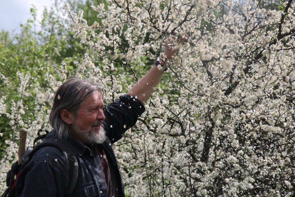 Założyli unikalny ośrodek w Pieninach. "To laboratorium życia"