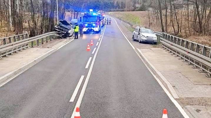 Prof. Bralczyk poszkodowany w wypadku. Tak wyglądały skutki