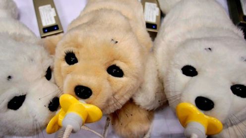 Ekoblogia: Dogoterapia na ładowarkę 1