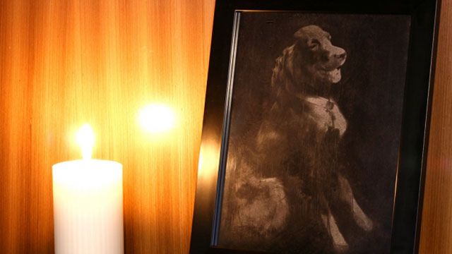 Zwłoki przerobisz na... zdjęcie 1