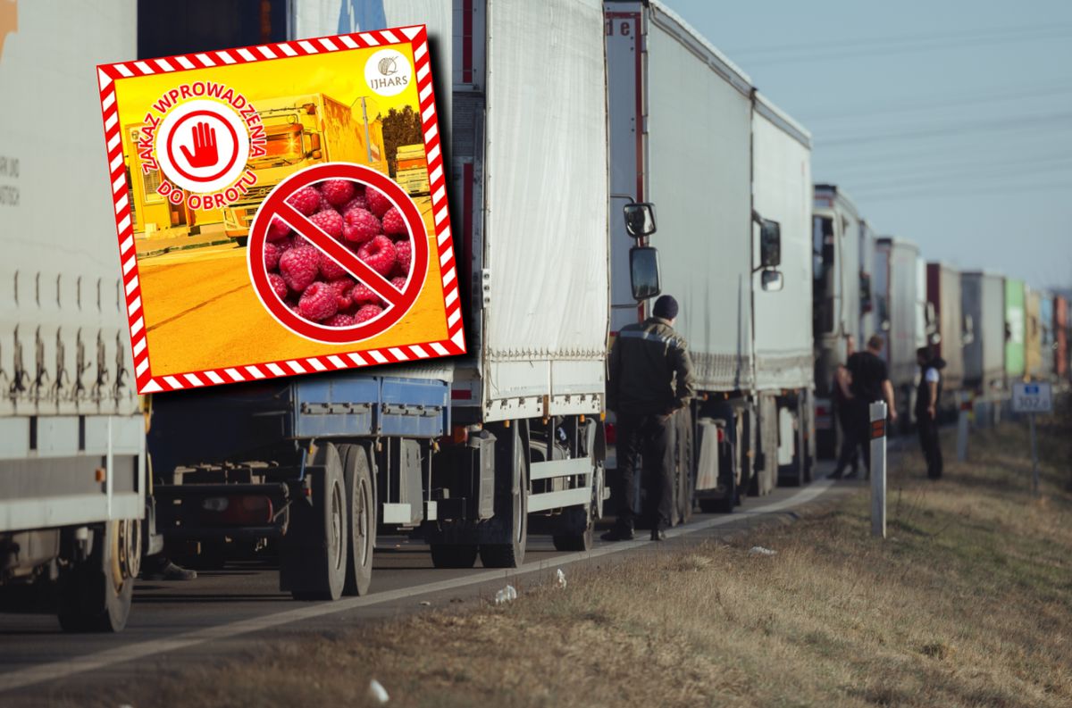 Wstrzymano 200 ton produktów z Ukrainy. Tylko w ciągu czterech dni