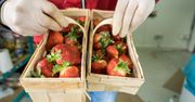 Dlaczego czereśnie i truskawki są w tym roku tak drogie? Ekspert odpowiada