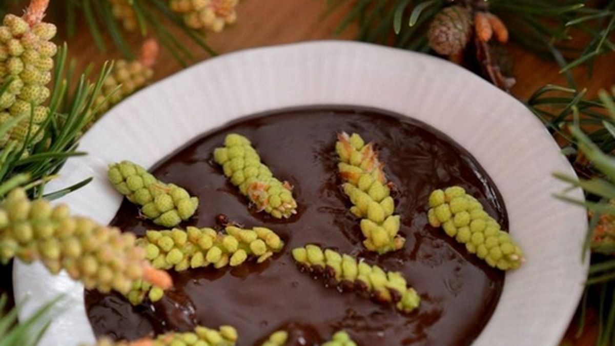 Niecodzienne danie od Lasów Państwowych