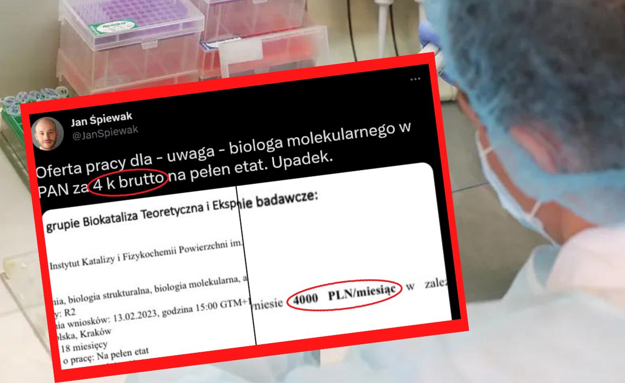 Śpiewak