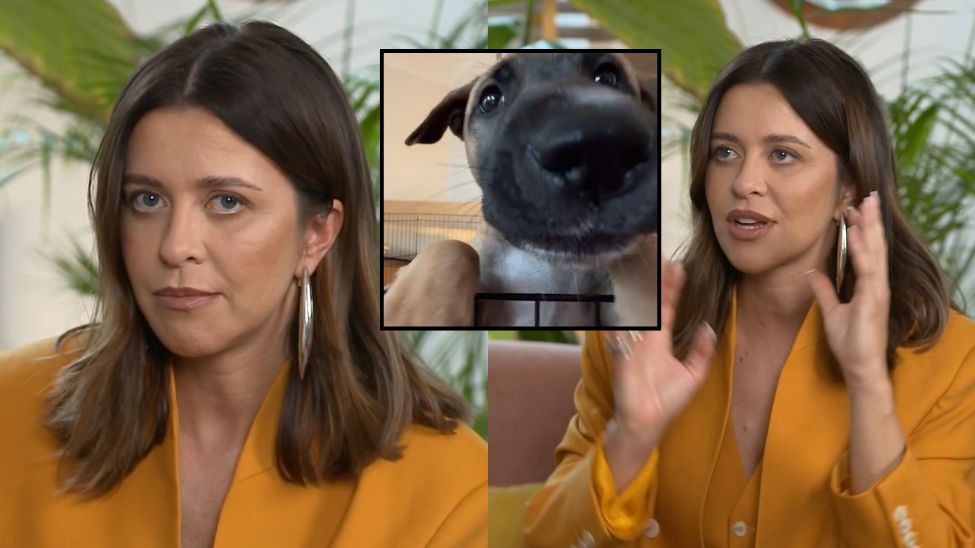 Wędzikowska z "The Traitors" uratowała psa. Tak się nim opiekuje
