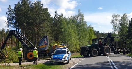 Tragedia podczas wycinki drzew. Nie żyje 41-latek